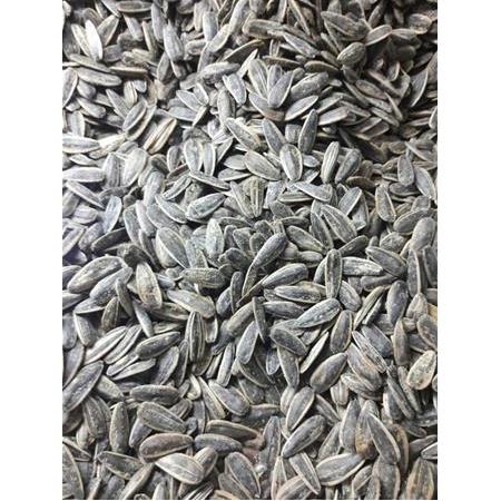 Siyah Dakota tuzlu Çekirdek XL (500 gr)