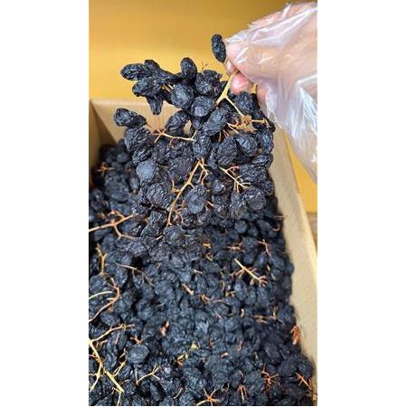Siyah Üzüm Dalında Kurumuş 500 gr