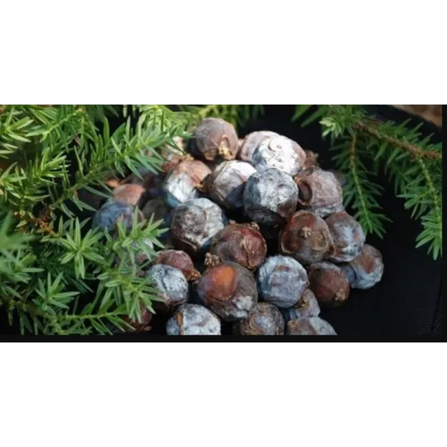 Andız Pekmezi Ev Yapımı (350 GR)