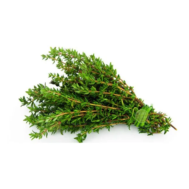 Maraş Kekik (100 gr)