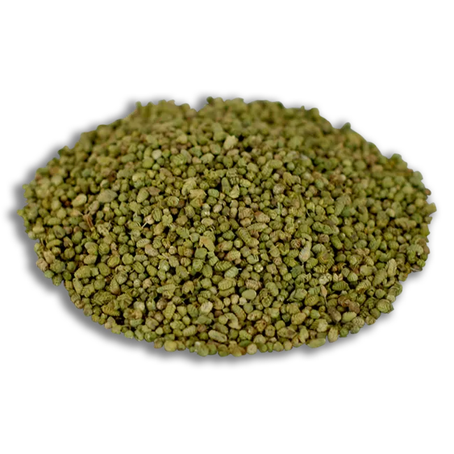 Bilye Kekik (100 gr)