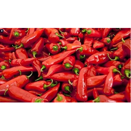 EV  Yapımı ACI Biber Salçası (Güneşte Yoğunlaştırılmış)